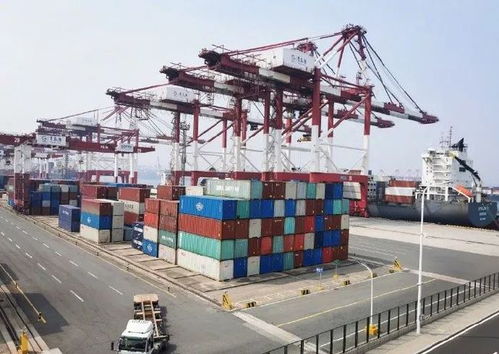 2021.02.26 輕松早茶 自營與代理貨物及技術進出口解析